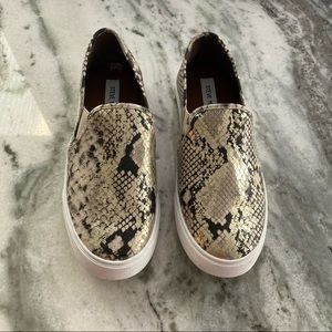 New Steve Madden Sneakers